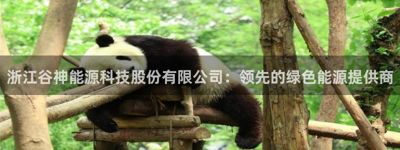 sunbet官网手机版登录