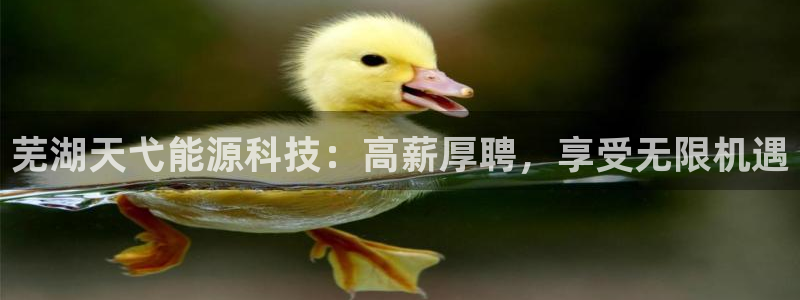 sunbet苹果官网下载