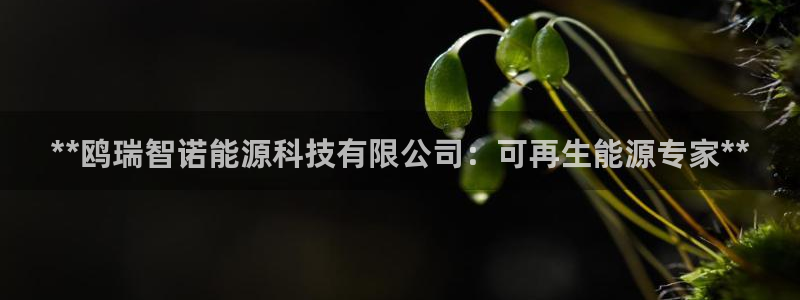 申博官网手机客户端