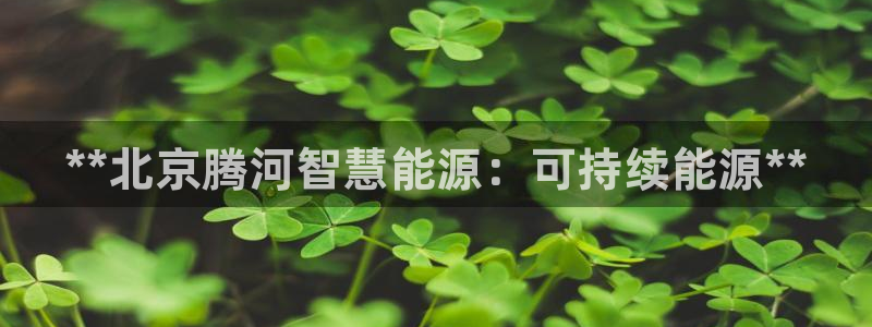 sunbet苹果官网下载