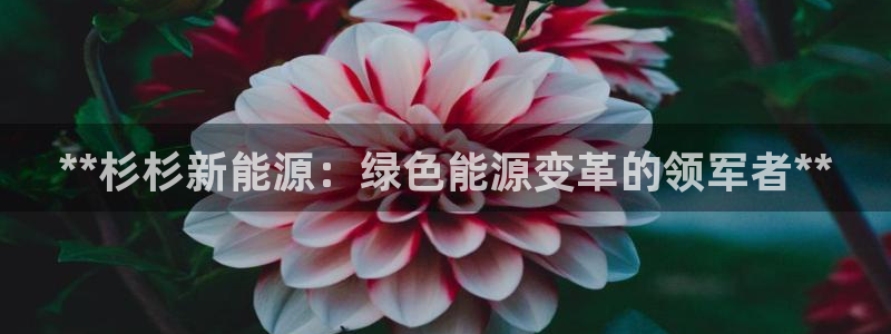 sunbet申搏平台