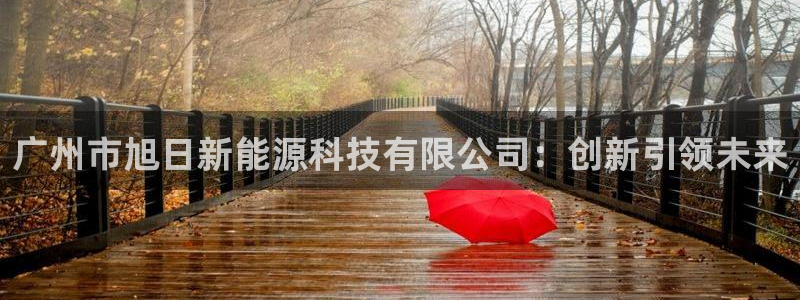 sunbet燃气灶
