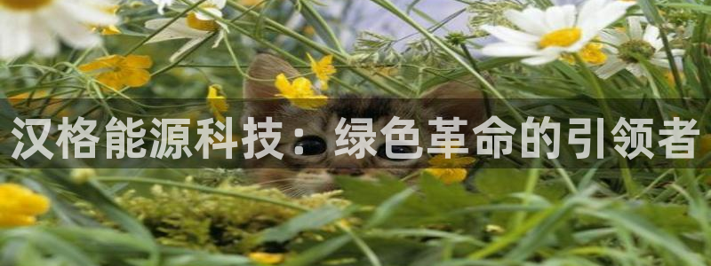 申博官网手机版下载app