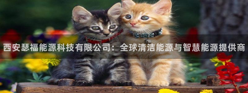 sunbet燃气灶