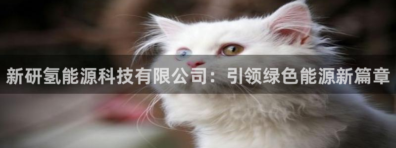 申博手机网站