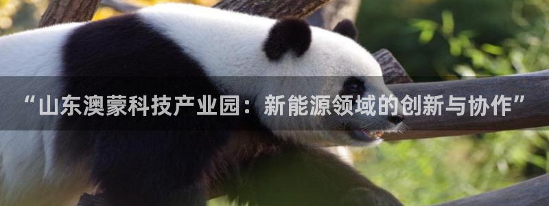 sunbet中国官网