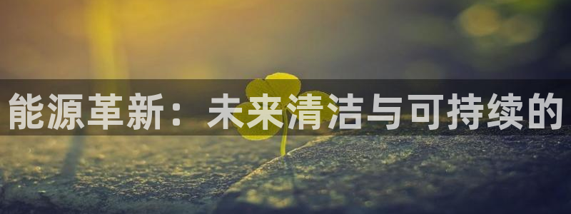 sunbet官网手机版