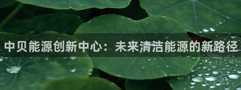 sunbet手机网页版本