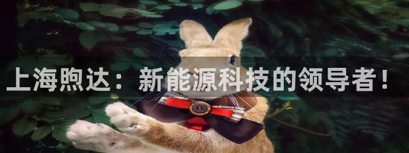 sunbet首页登录入口