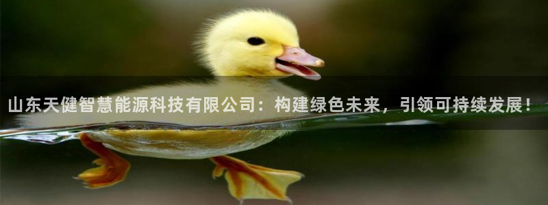 sunbet手机版官网下载