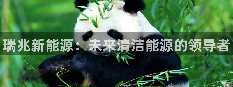 申博官网手机版下载app