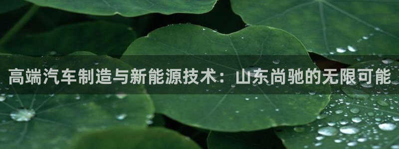 sunbet手机网页版