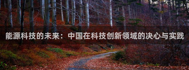 sunbet官网手机版登录