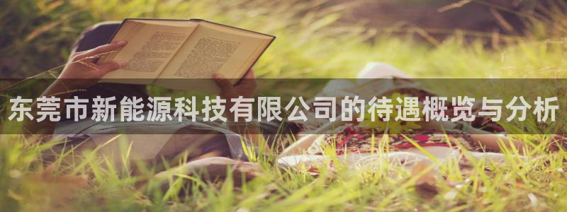 sunbet官网登录首页