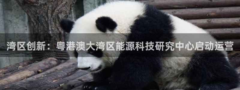 申博手机版app下载