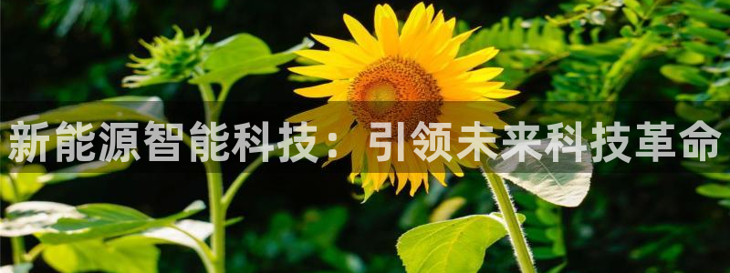 sunbet申搏官网