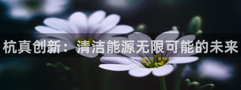 sunbet手机app版