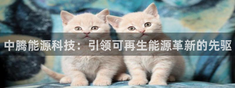下载申搏sunbet并安装app