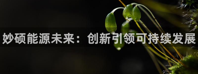 申博手机版app下载