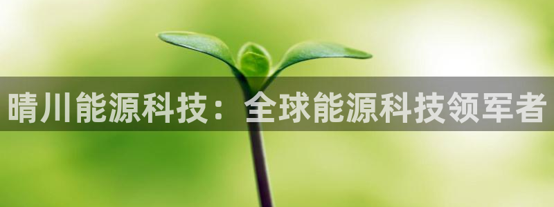 sunbet最新消息