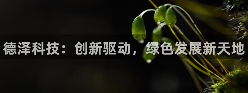 sunbet苹果app