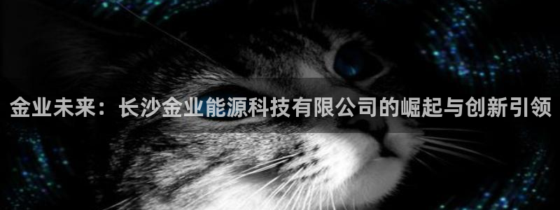 申博官网电脑版下载