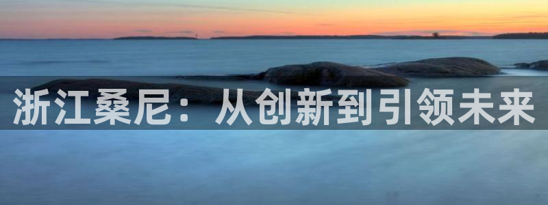 sunbet手机网页版下载