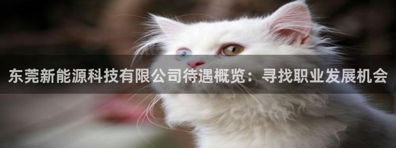 sunbet苹果官网下载