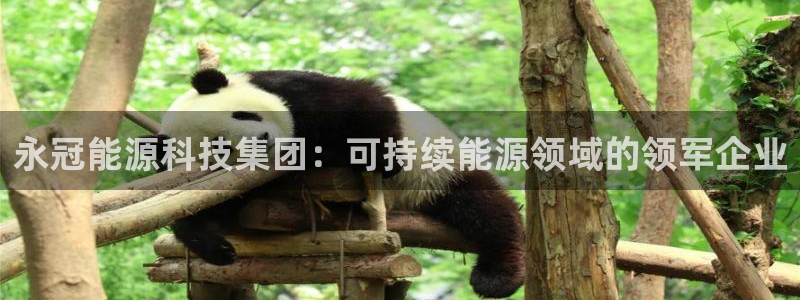 sunbet手机网页版