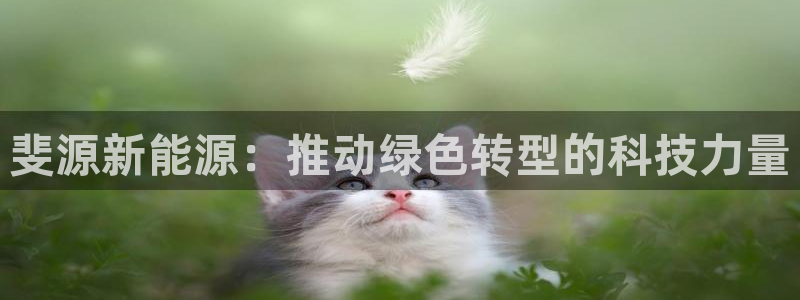 sunbet手机版登录