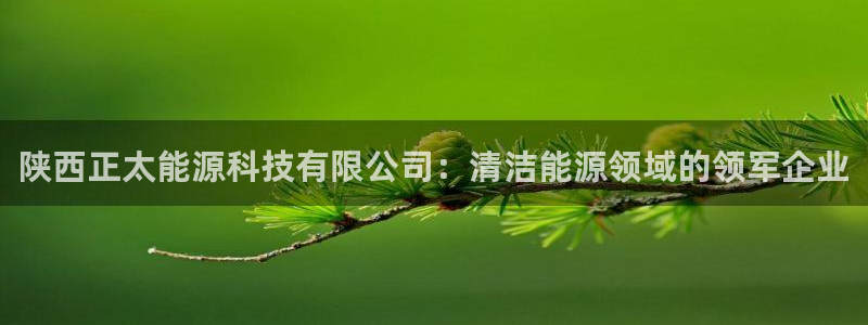 申博手机版官网