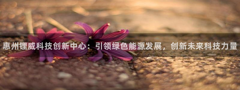 sunbet线上真人手机版