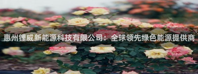 sunbet线上真人手机版