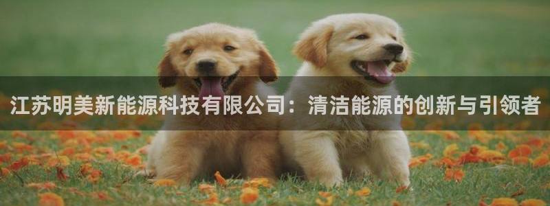 sunbet首页登录入口