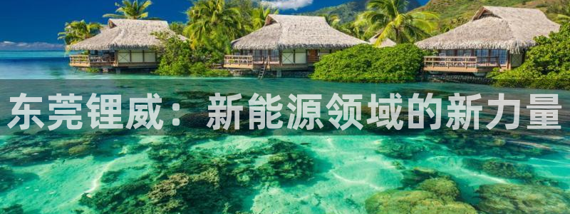 sunbet游戏最新版