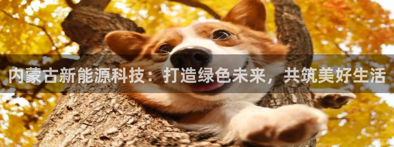 sunbet手机网页版下载