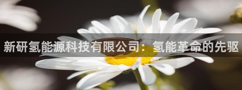 申博官方网站手机版下载