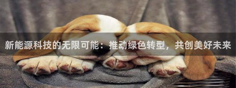 申博手机版app下载