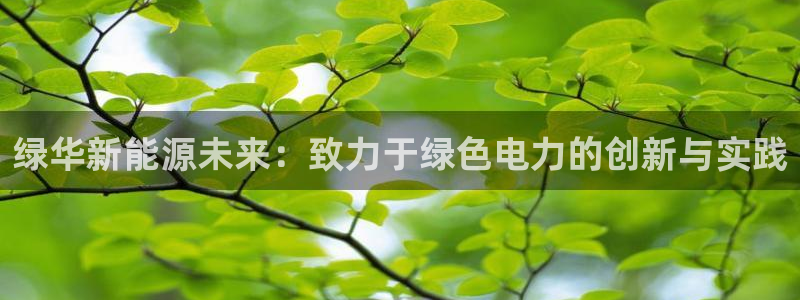 sunbet官网手机版登录