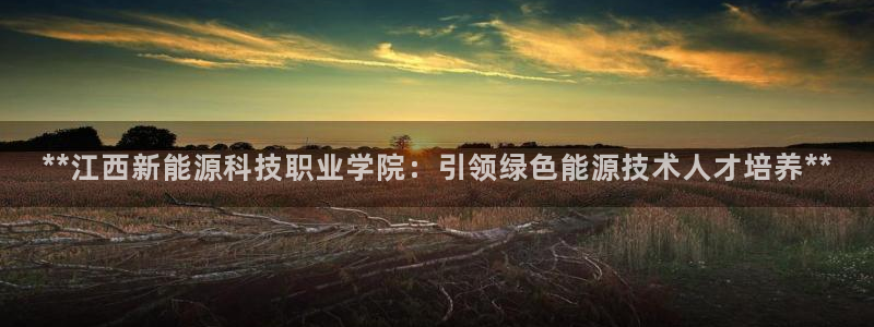 sunbet程序