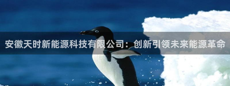 申慱sunbet网站
